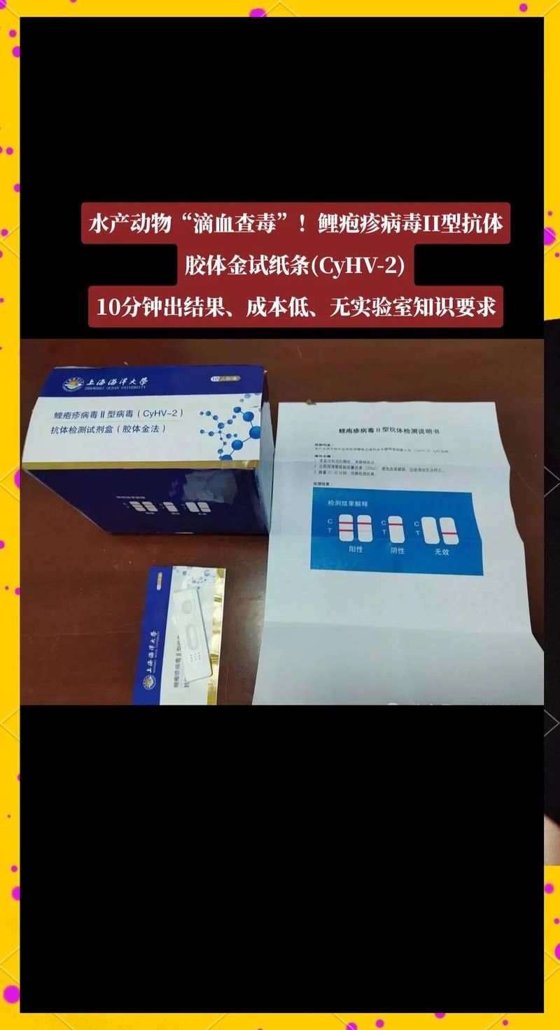 如何判斷龍魚鰭部是否感染？