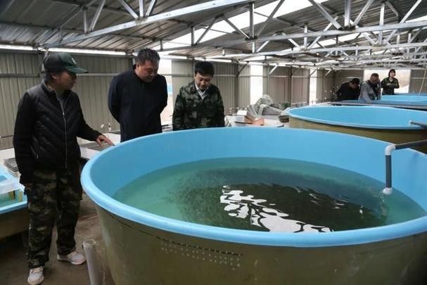 大興安嶺開水族店怎么樣？加盟祥龍魚場賣龍魚市場怎樣？