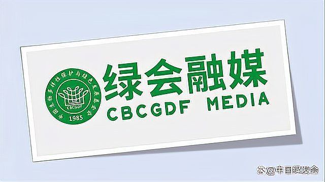 老虎一共有多少只
