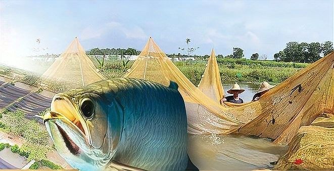 都安瑤族開水族店怎么樣？加盟祥龍魚場賣龍魚市場怎樣？