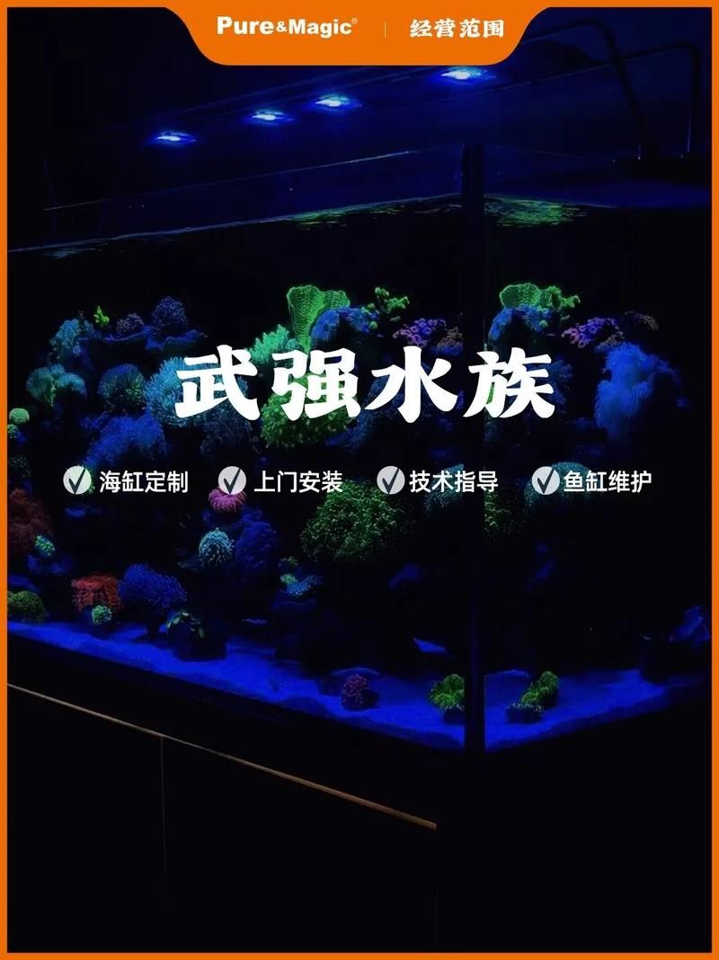 武強開水族店怎么樣？加盟祥龍魚場賣龍魚市場怎樣？
