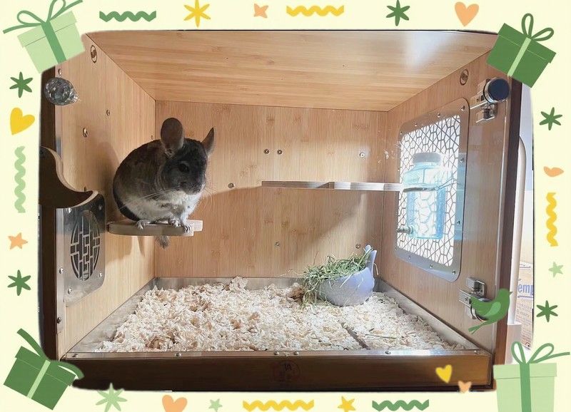 龍貓能記住哪些指令？