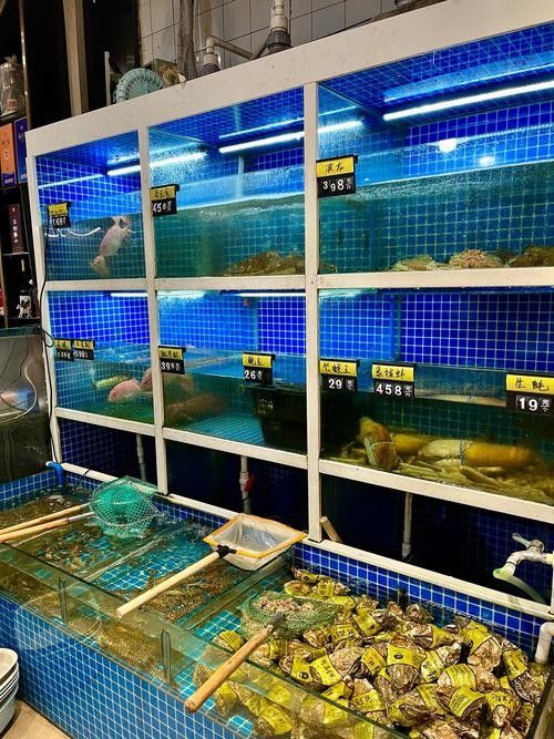霞浦開水族店怎么樣？加盟祥龍魚場賣龍魚市場怎樣？
