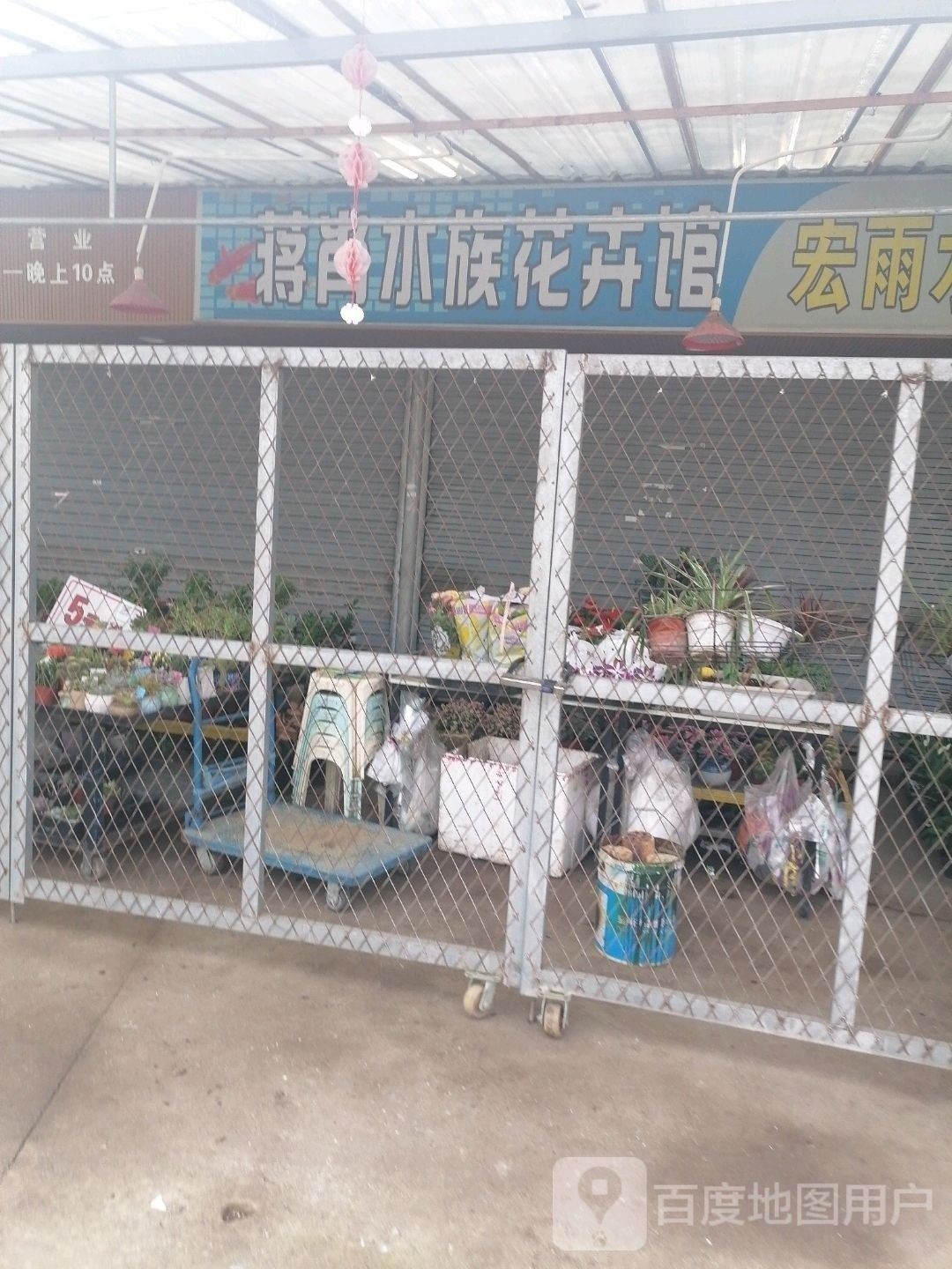 什邡開水族店怎么樣？加盟祥龍魚場賣龍魚市場怎樣？