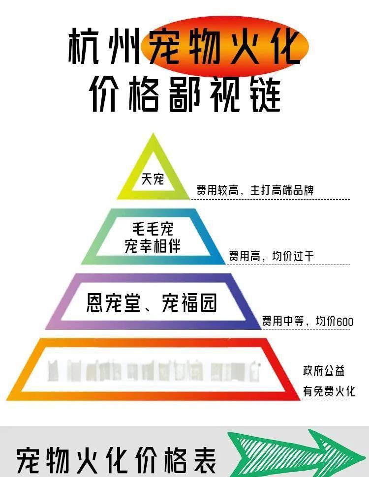 有哪些寵物殯葬服務(wù)提供火化？