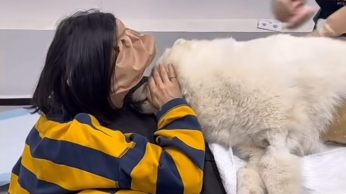 有哪些寵物殯葬服務(wù)提供火化？