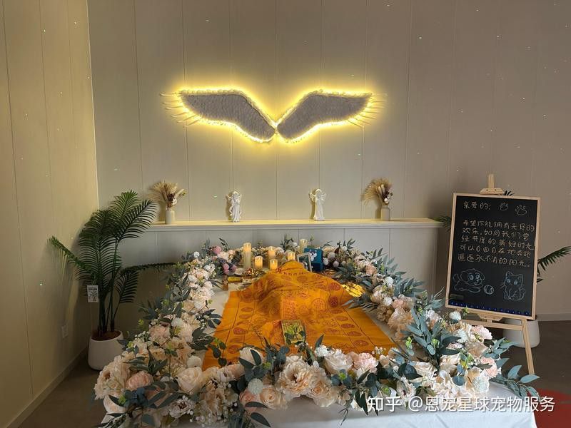 有哪些寵物殯葬服務(wù)提供火化？