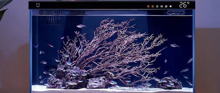 魚(yú)缸發(fā)圈文字（社區(qū)魚(yú)缸維護(hù)小技巧）