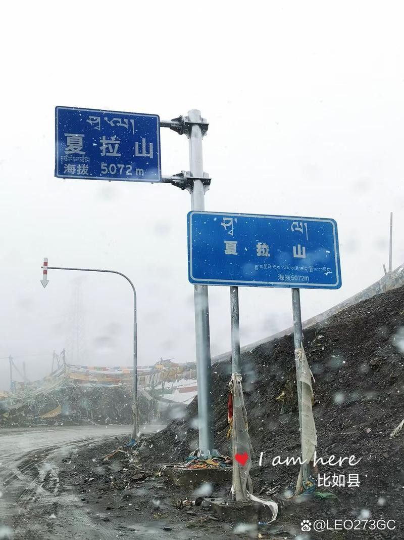 索縣開水族店怎么樣？加盟祥龍魚場賣龍魚市場怎樣？