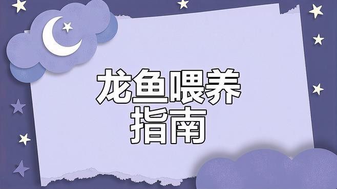 怎樣喂養龍魚