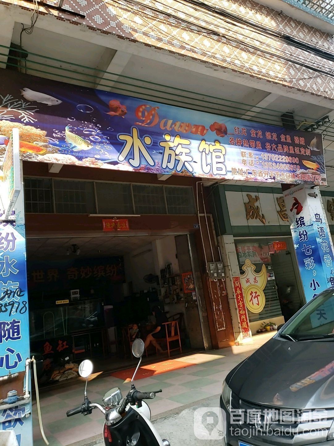 東山開水族店怎么樣？加盟祥龍魚場賣龍魚市場怎樣？