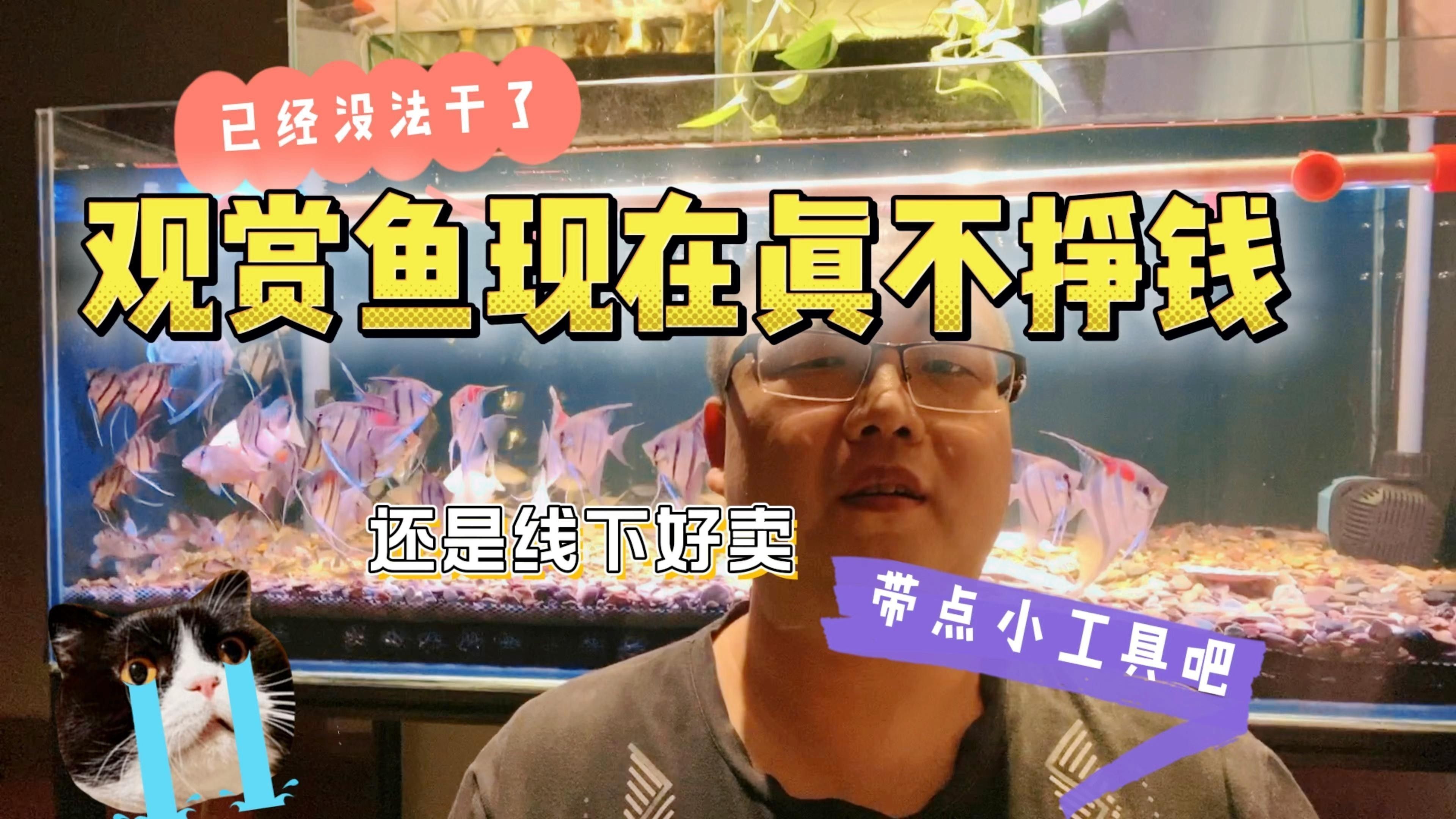 裕民開(kāi)水族店怎么樣？加盟祥龍魚(yú)場(chǎng)賣(mài)龍魚(yú)市場(chǎng)怎樣？
