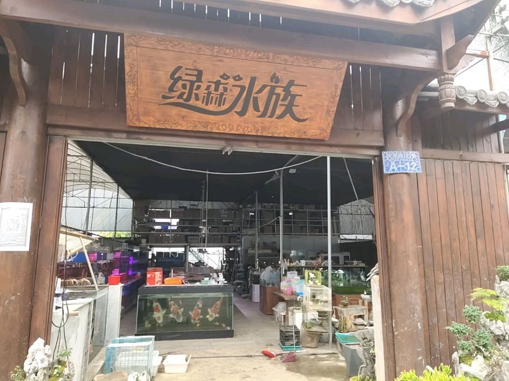 萬州開水族店怎么樣？加盟祥龍魚場賣龍魚市場怎樣？