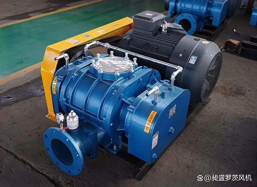 龍馬潭開水族店怎么樣？加盟祥龍魚場賣龍魚市場怎樣？