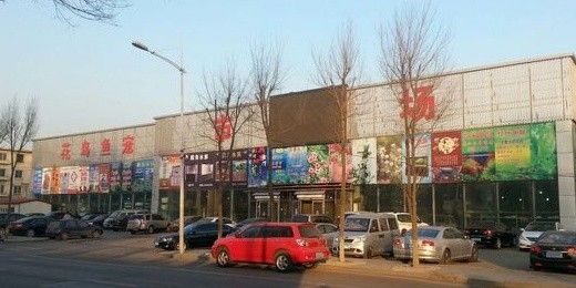 撫順縣開水族店怎么樣？加盟祥龍魚場賣龍魚市場怎樣？