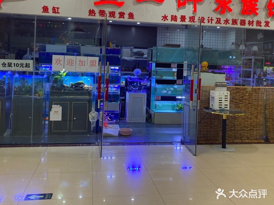臨沂河東開水族店怎么樣？加盟祥龍魚場賣龍魚市場怎樣？