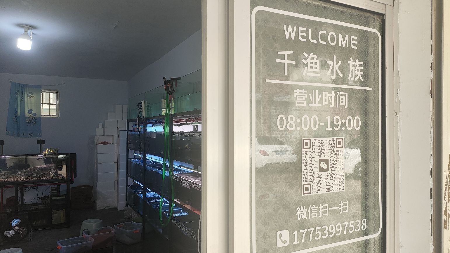 臨沂河東開水族店怎么樣？加盟祥龍魚場賣龍魚市場怎樣？