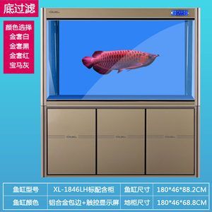 龍魚缸怎么選擇好的魚：龍魚缸如何挑選