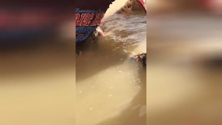 龍魚吐珠掛畫怎么掛