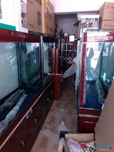 煙臺開水族店怎么樣？加盟祥龍魚場賣龍魚市場怎樣？