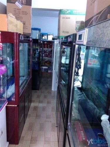 煙臺開水族店怎么樣？加盟祥龍魚場賣龍魚市場怎樣？