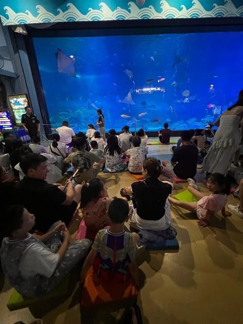 煙臺開水族店怎么樣？加盟祥龍魚場賣龍魚市場怎樣？