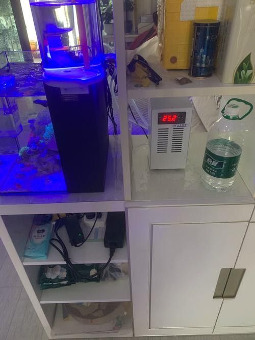 石首開水族店怎么樣？加盟祥龍魚場賣龍魚市場怎樣？