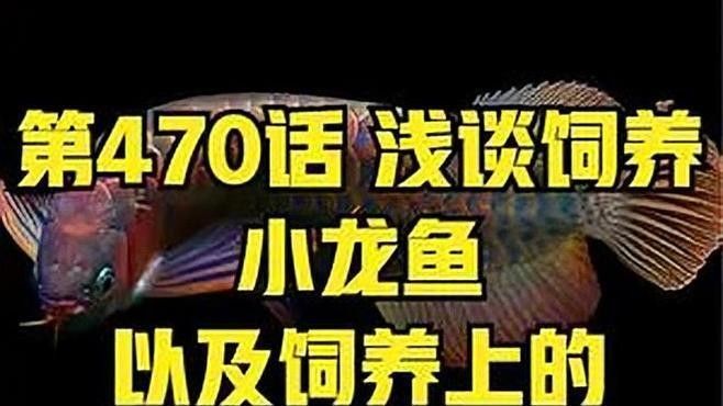 桂林開水族店怎么樣？加盟祥龍魚場賣龍魚市場怎樣？