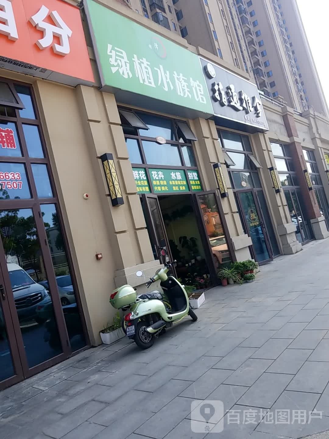 黃州開水族店怎么樣？加盟祥龍魚場賣龍魚市場怎樣？