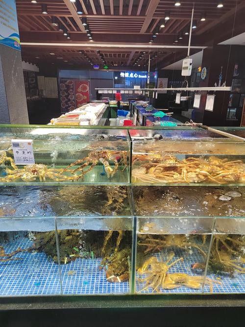 息縣開水族店怎么樣？加盟祥龍魚場賣龍魚市場怎樣？