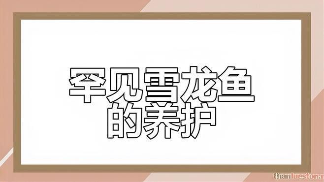 雪龍銀龍魚的特點(diǎn)是什么？