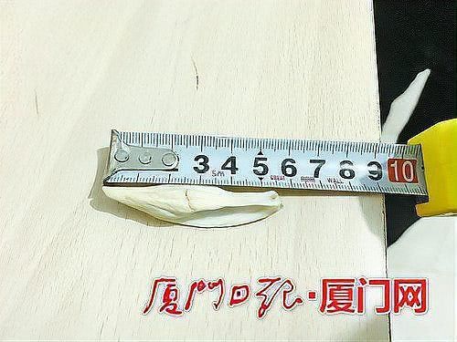 一個魚寶多少錢 一個魚寶多少錢 龍魚百科 第5張