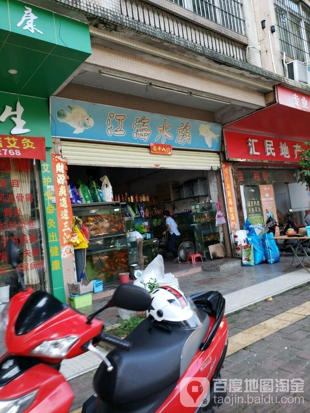 江海開水族店怎么樣？加盟祥龍魚場賣龍魚市場怎樣？