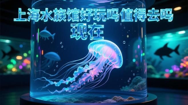 上海開水族店怎么樣？加盟祥龍魚場賣龍魚市場怎樣？