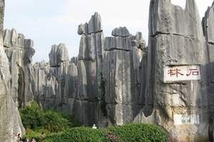 洱源開(kāi)水族店怎么樣？加盟祥龍魚(yú)場(chǎng)賣龍魚(yú)市場(chǎng)怎樣？
