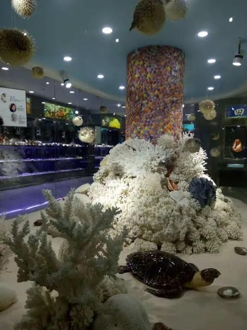 北戴河開水族店怎么樣？加盟祥龍魚場賣龍魚市場怎樣？