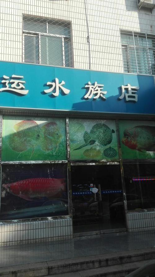 懷柔開水族店怎么樣？加盟祥龍魚場賣龍魚市場怎樣？ 懷柔開水族店怎么樣？加盟祥龍魚場賣龍魚市場怎樣？ 水族館百科（水族館加盟） 第1張