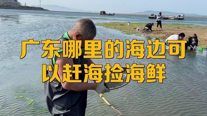 湄潭開水族店怎么樣？加盟祥龍魚場賣龍魚市場怎樣？ 湄潭開水族店怎么樣？加盟祥龍魚場賣龍魚市場怎樣？ 水族館百科（水族館加盟） 第7張