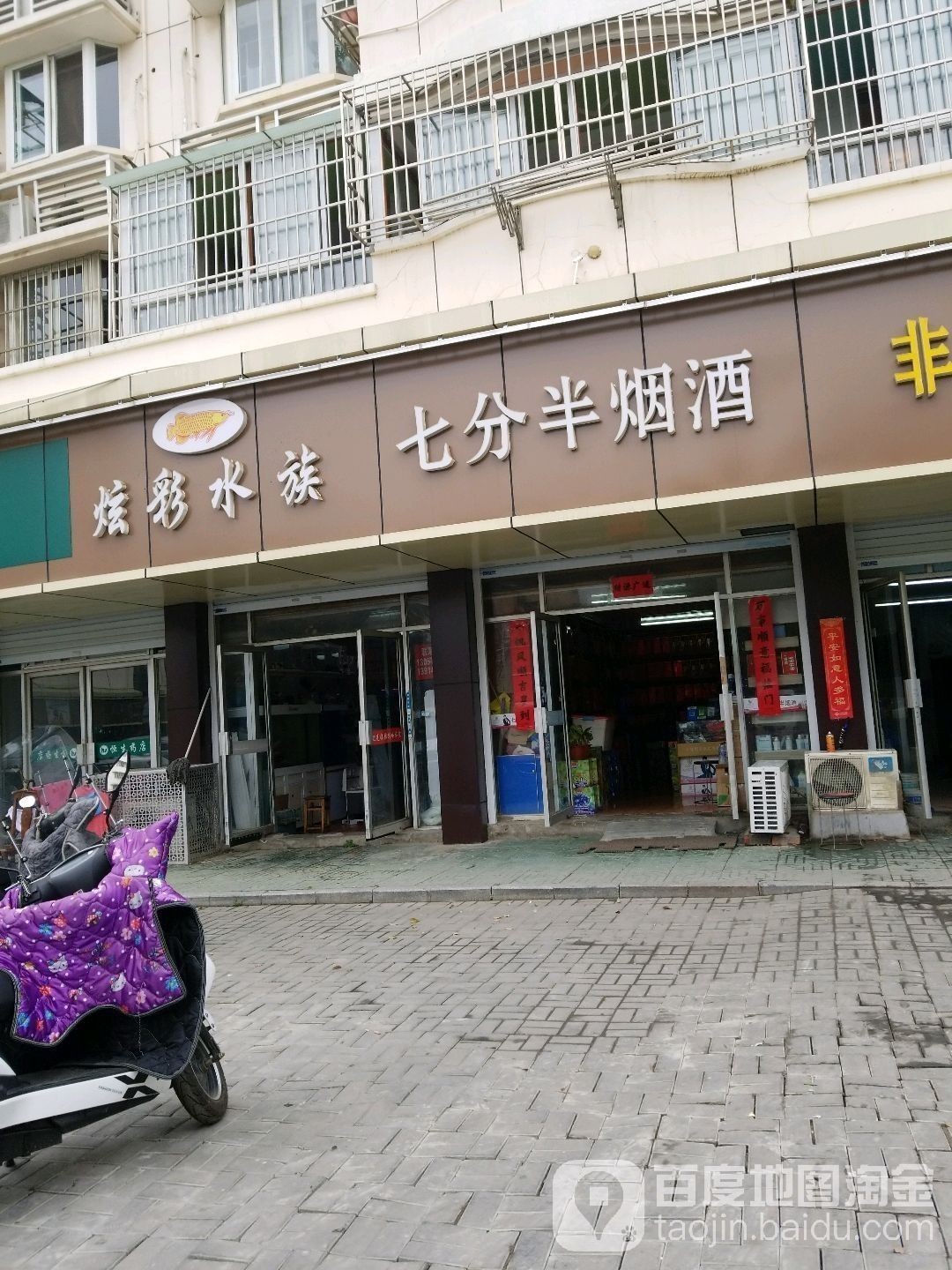 浦口開水族店怎么樣？加盟祥龍魚場賣龍魚市場怎樣？