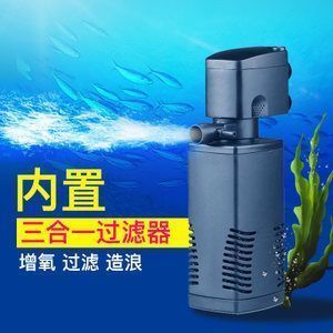 金龍魚(yú)的水質(zhì)（金龍魚(yú)對(duì)水質(zhì)的要求）