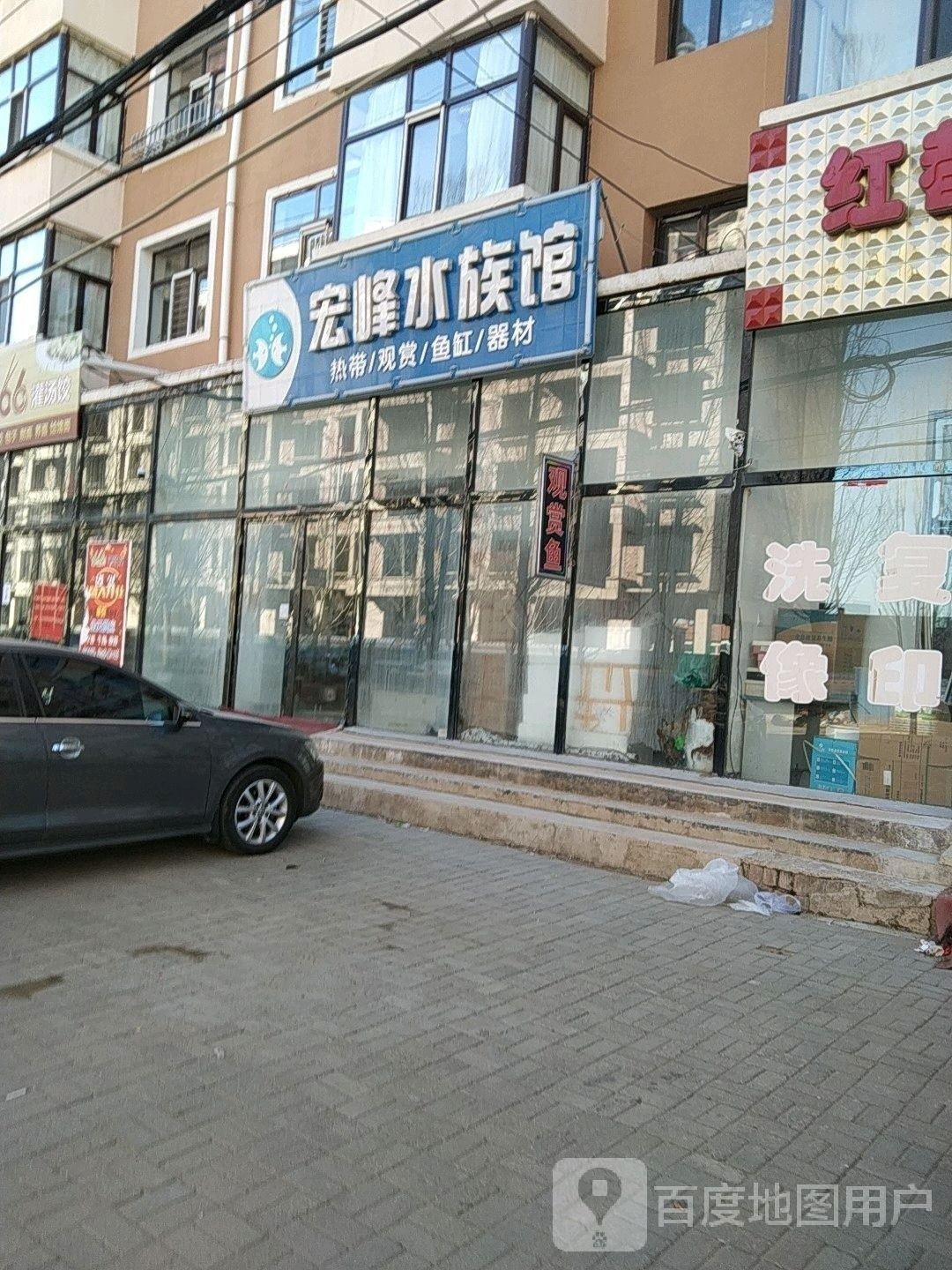 商都開水族店怎么樣？加盟祥龍魚場賣龍魚市場怎樣？