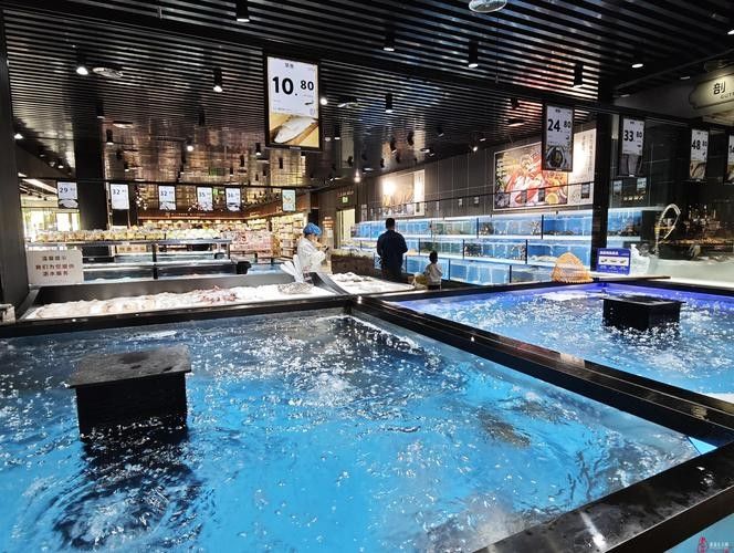 青海開水族店怎么樣？加盟祥龍魚場賣龍魚市場怎樣？