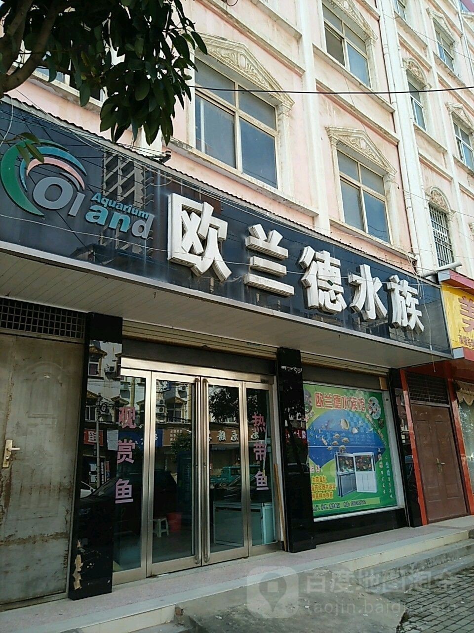 上蔡開水族店怎么樣？加盟祥龍魚場賣龍魚市場怎樣？