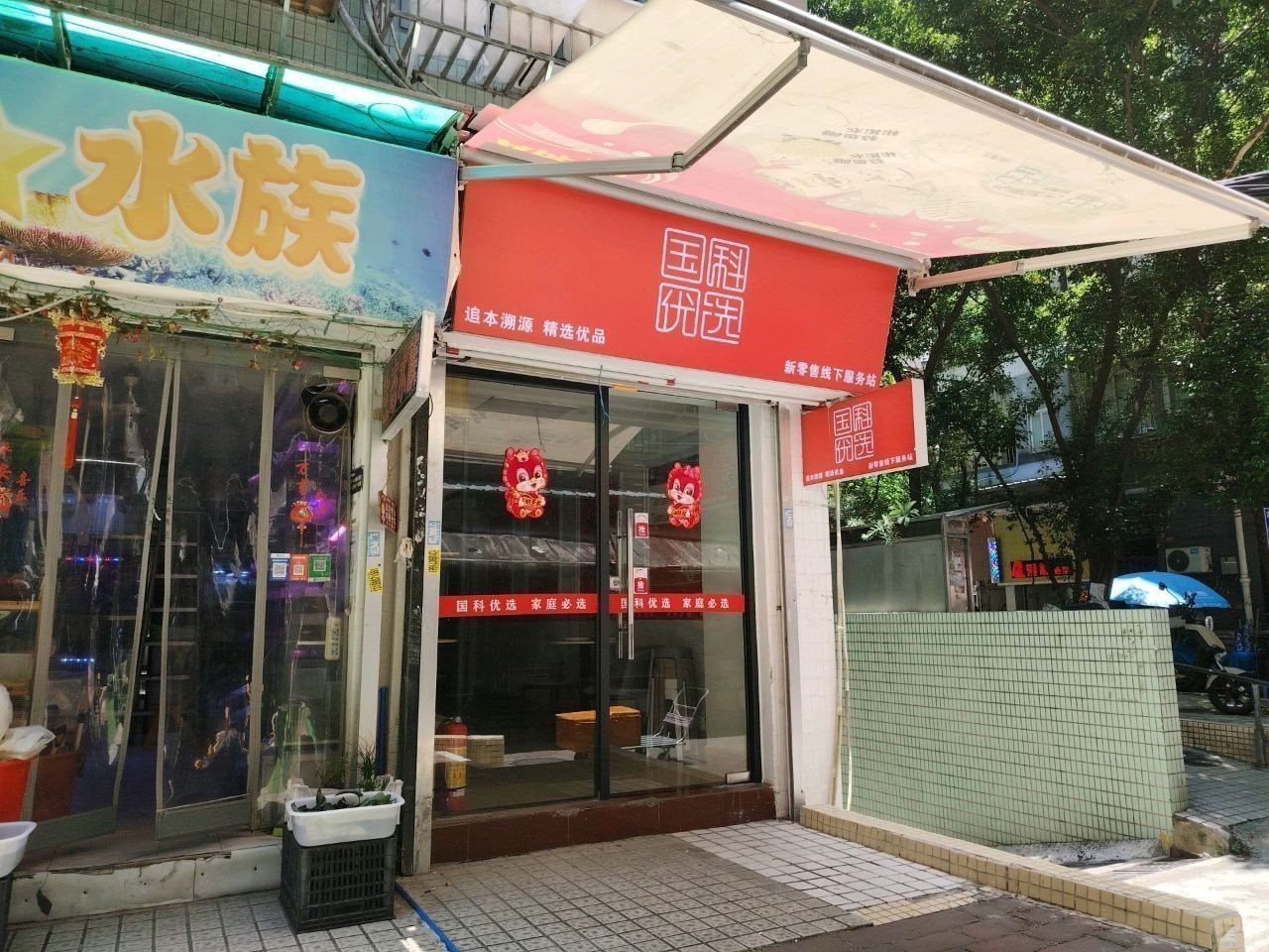 零陵開水族店怎么樣？加盟祥龍魚場賣龍魚市場怎樣？