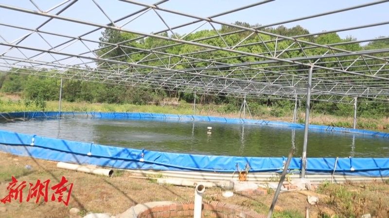 零陵開(kāi)水族店怎么樣？加盟祥龍魚場(chǎng)賣龍魚市場(chǎng)怎樣？