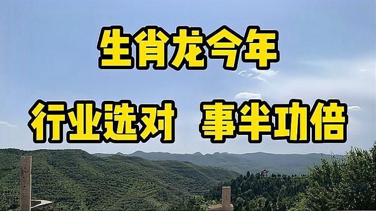 五行龍中哪種最適合創業? 龍魚百科 第4張 五行龍中哪種最適合創業? 五行龍中哪種最適合創業? 龍魚百科 第4張