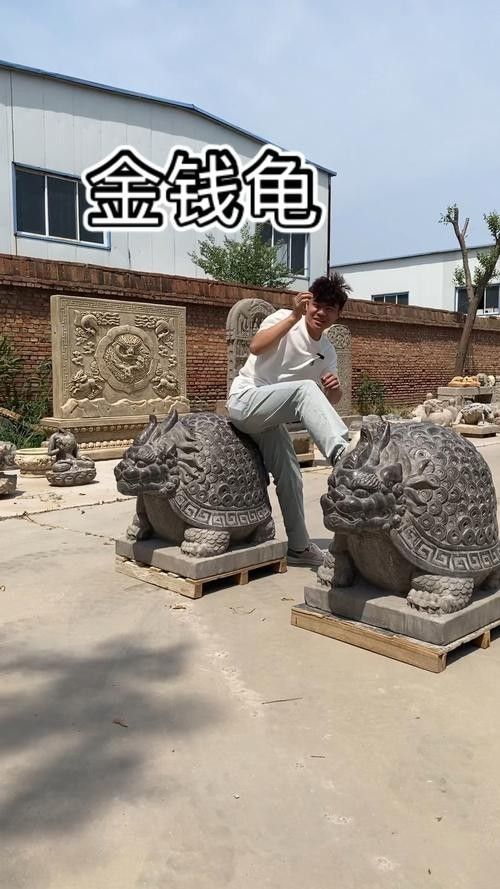 龍龜圖片高清大圖尺寸范圍