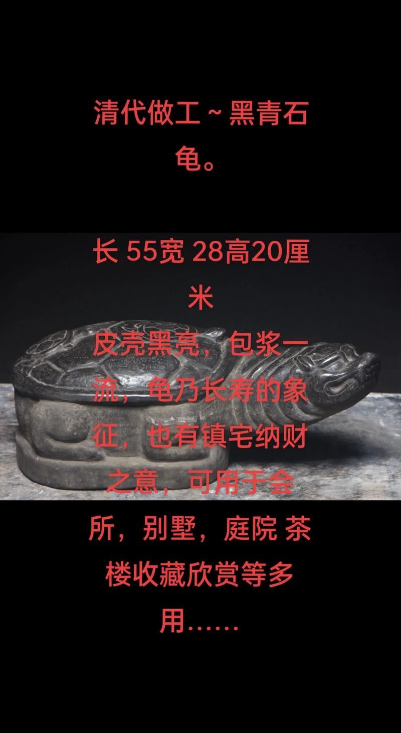 龍龜圖片高清大圖尺寸范圍