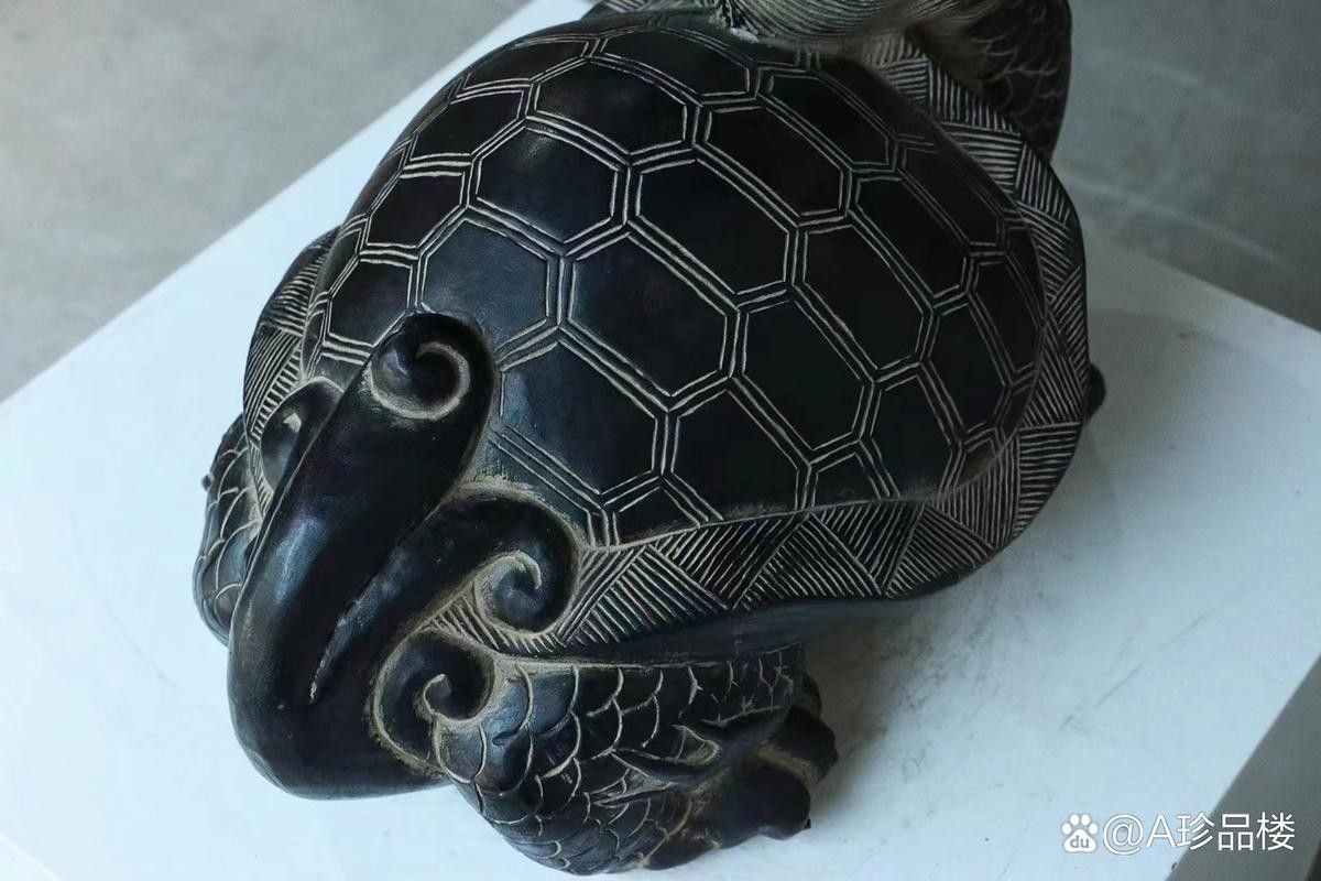 龍龜圖片高清大圖尺寸范圍