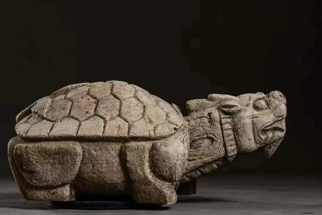 龍龜圖片高清大圖尺寸范圍